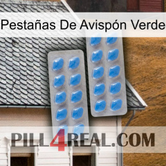 Pestañas De Avispón Verde 23